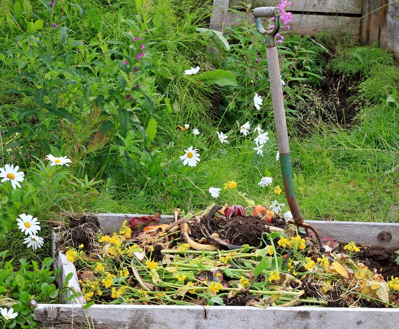 home recycling